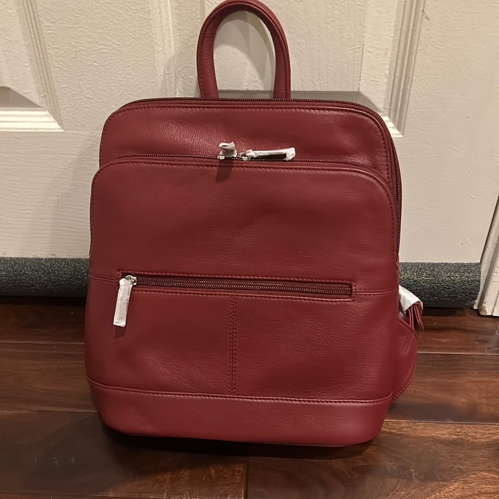 Women’s purse back pack